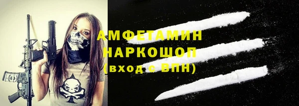 прущие грибы Балахна