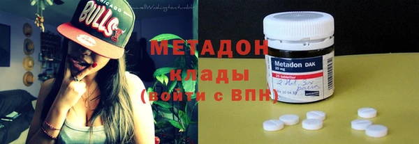 прущие грибы Балахна