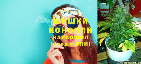 прущие грибы Балахна